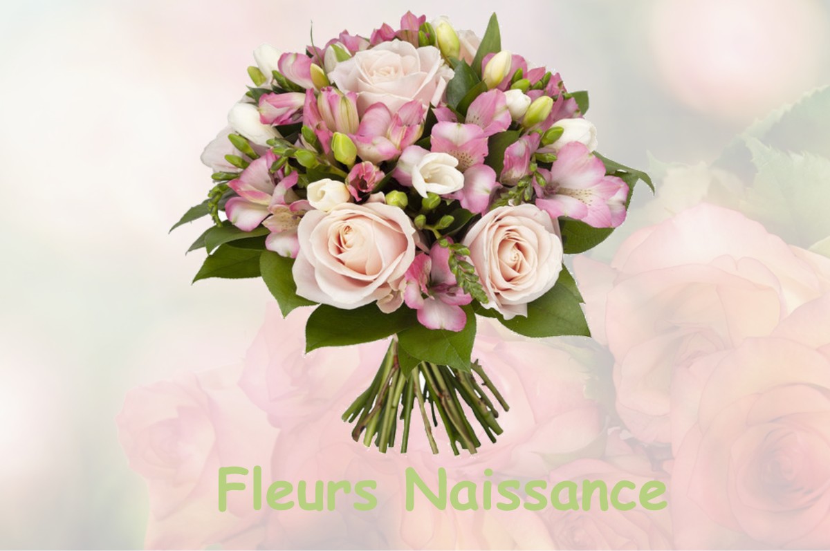 fleurs naissance SAINTE-MARIE-DE-VAUX